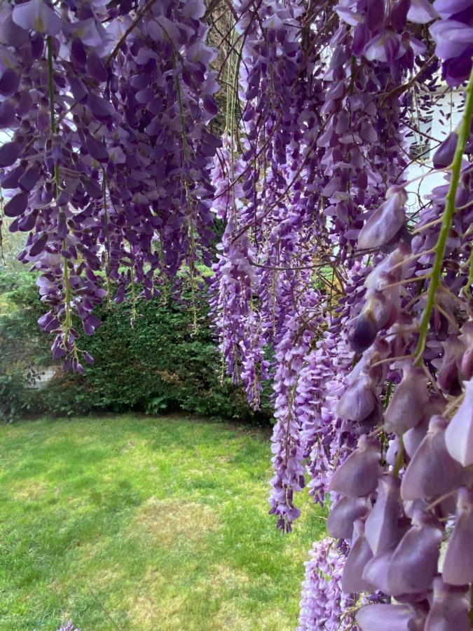 B&B Fior Di Toscana Serravalle Pistoiese Exterior foto