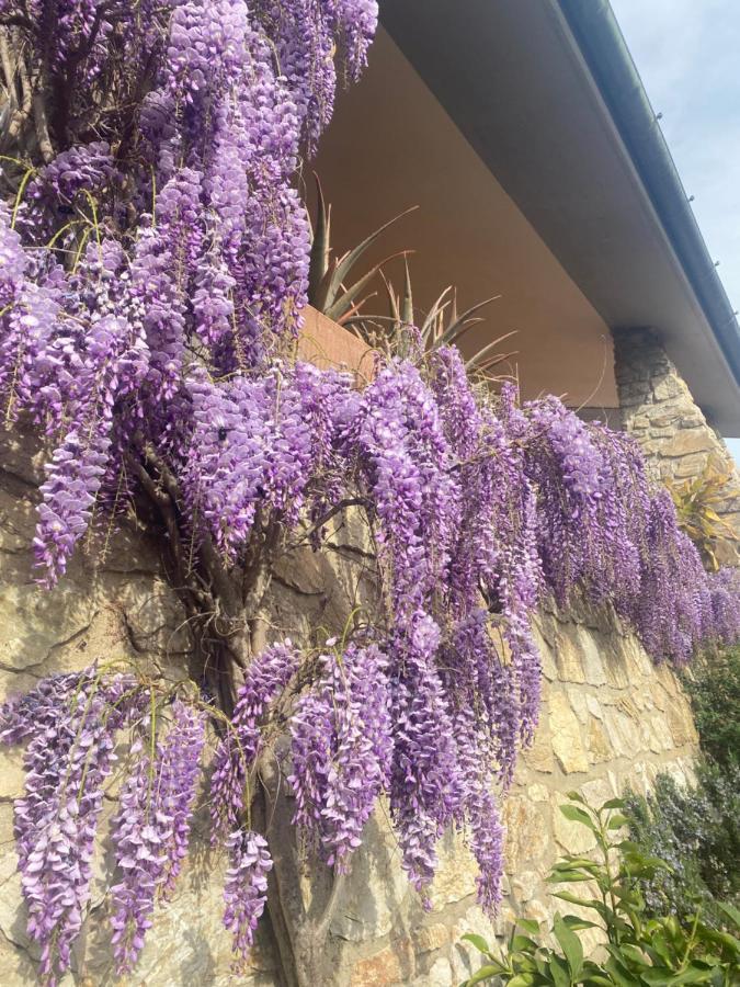 B&B Fior Di Toscana Serravalle Pistoiese Exterior foto